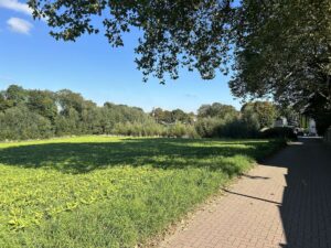Umgebung